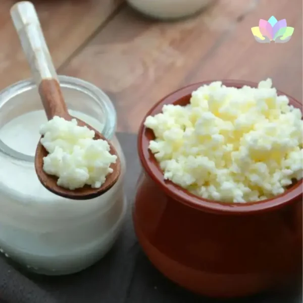 Kéfir De Leche Para Preparar En Casa - Probiótico Natural - Manual De Instrucciones.