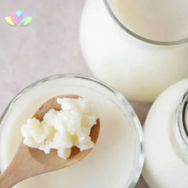 Kéfir De Leche Para Preparar En Casa - Probiótico Natural - Manual De Instrucciones.