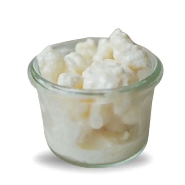 Kéfir De Leche Para Preparar En Casa - Probiótico Natural - Manual De Instrucciones.