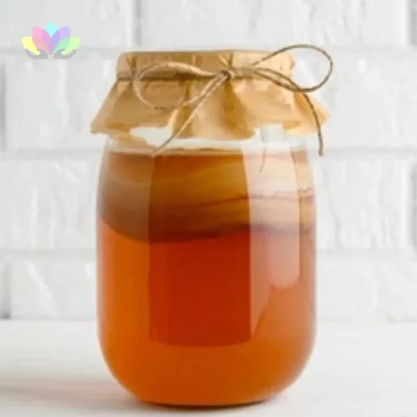 Kit Inicio De Kombucha Para Preparar En Casa - Probiótico Natural - Manual De Instrucciones.