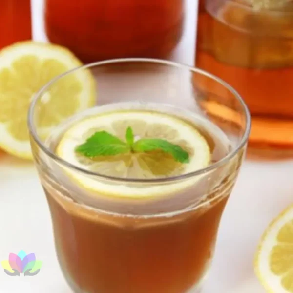 Kit Inicio De Kombucha Para Preparar En Casa - Probiótico Natural - Manual De Instrucciones.