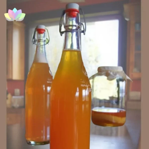Kit Inicio De Kombucha Para Preparar En Casa - Probiótico Natural - Manual De Instrucciones.