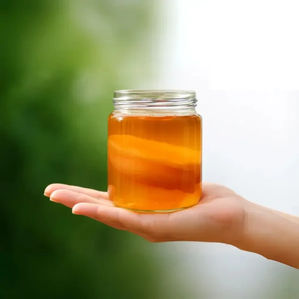 Kit Inicio De Kombucha, Kéfir De Agua Y Viili - Los 3 Probióticos Con Envío Gratis