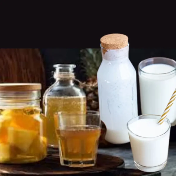 Kit Inicio De Kombucha, Kéfir De Agua Y Viili - Los 3 Probióticos Con Envío Gratis